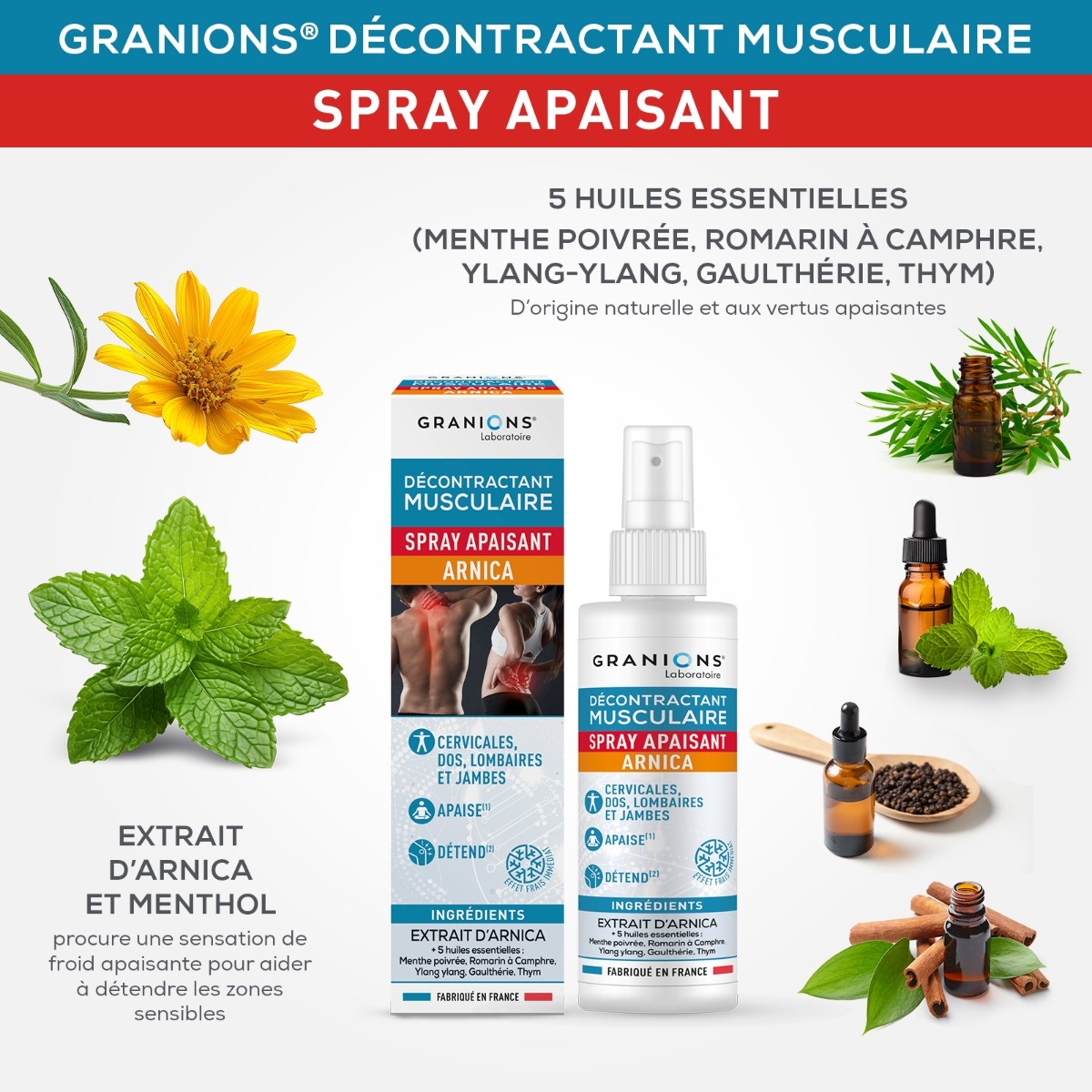 GRANIONS - Décontractant Musculaire - 5 huiles essentielles 