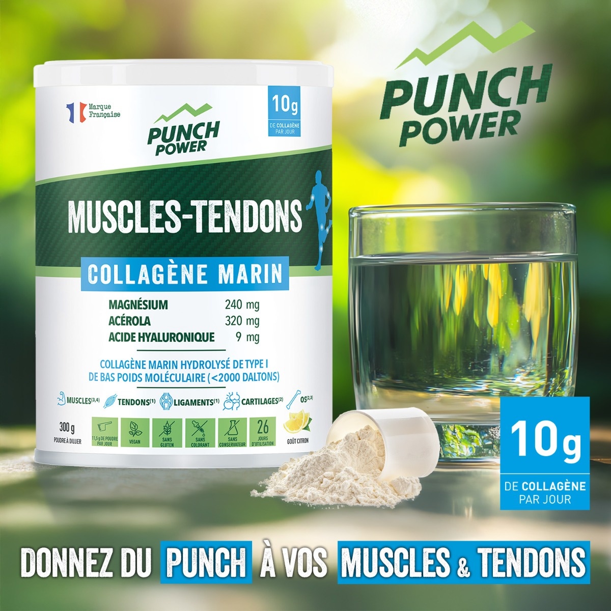 Muscles-tendons collagène marin
