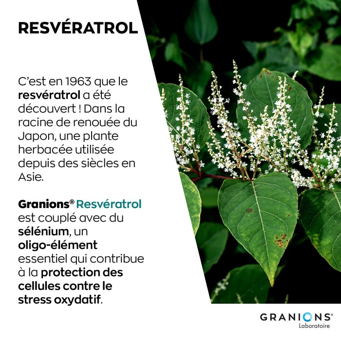Granions Resveratrol 30 capsules