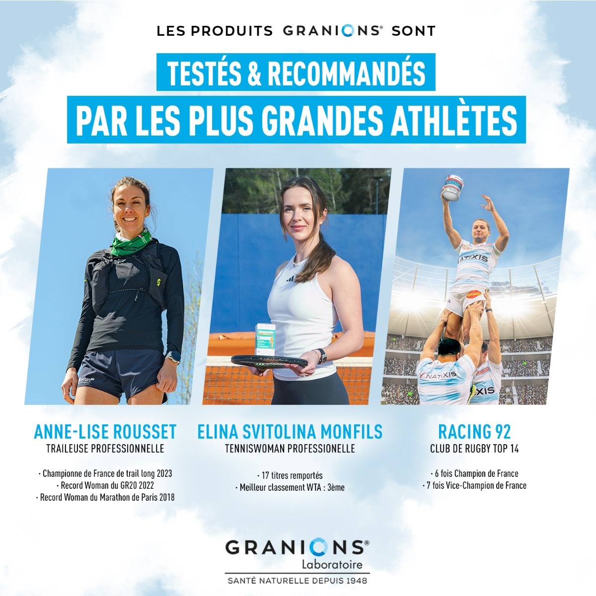 Les ambassadeurs