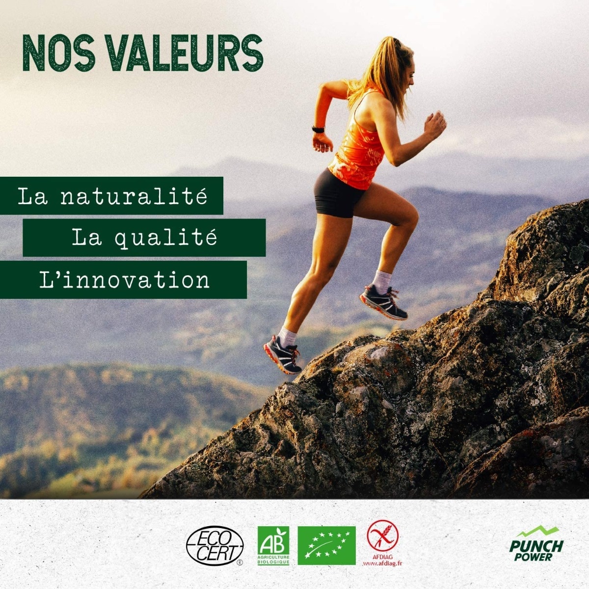 Punch Power Punchybar saveur multifruits - nos valeurs