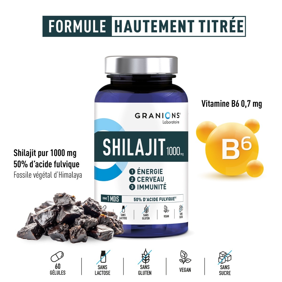 Granions Shilajit 1000 mg