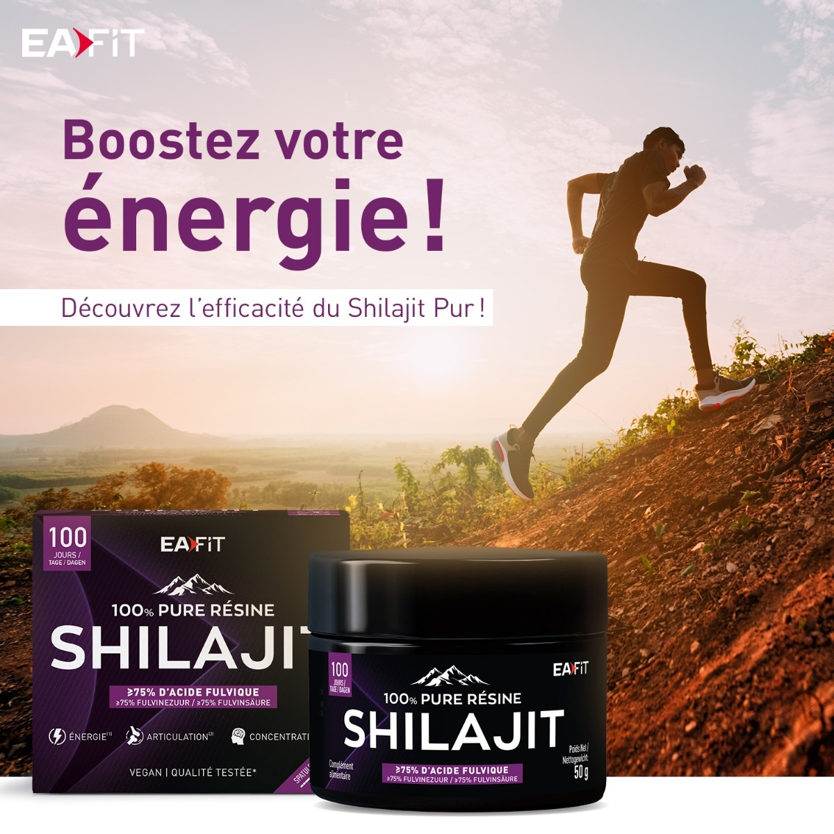 Découvrez l'efficacité du Shilajit Pur