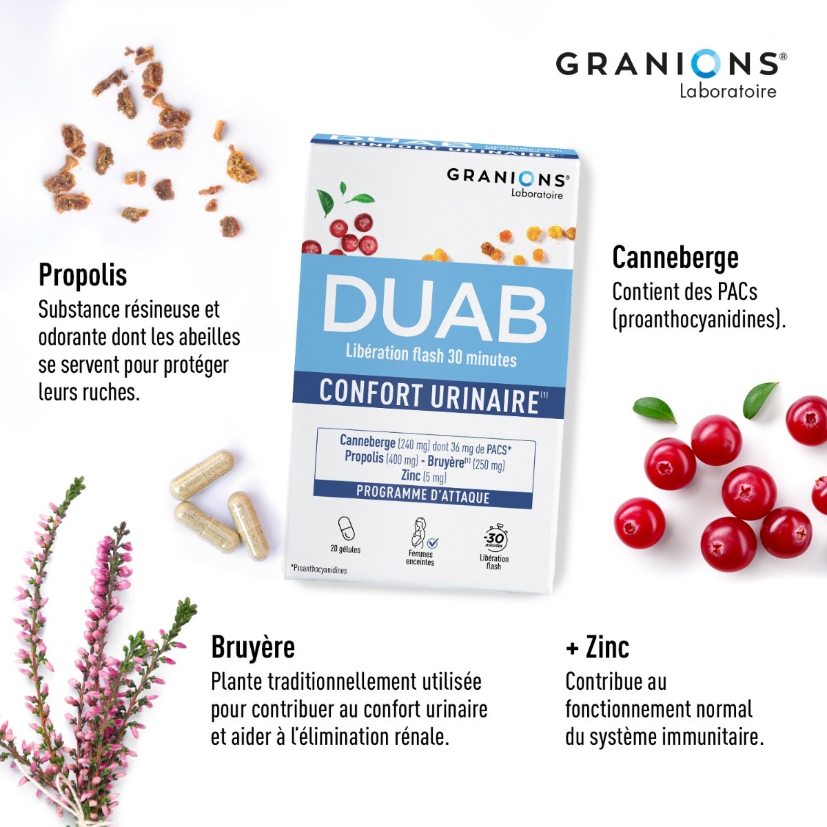 Duab - Inconfort Urinaire - Cranberry - Propolis - Zinc