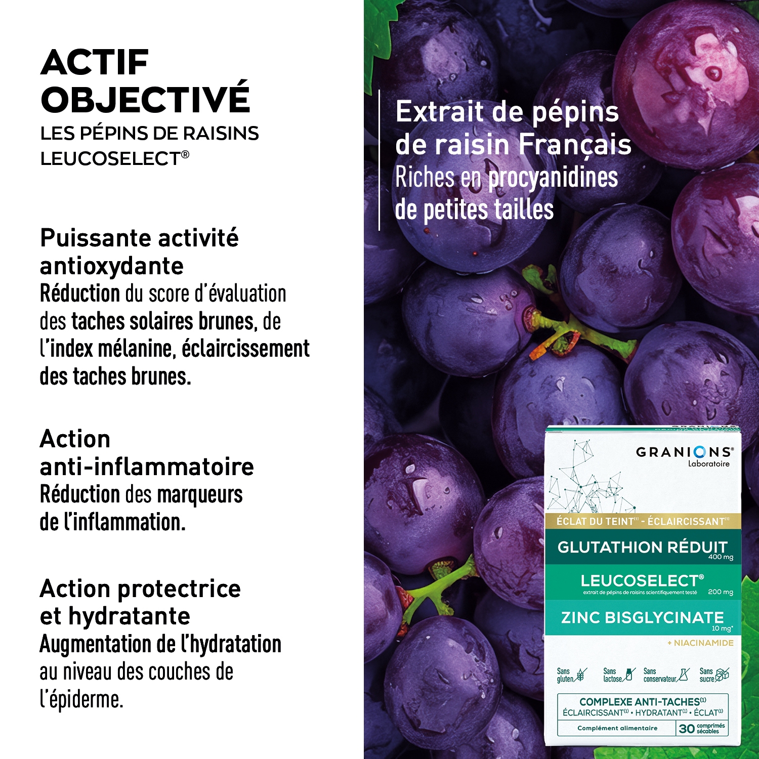 COMPLEXE ANTI-TACHES