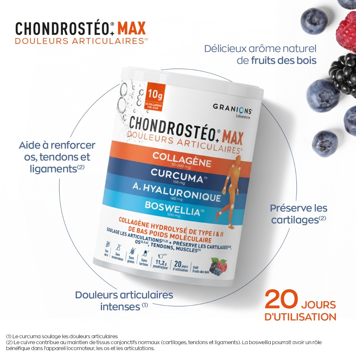 GRANIONS - Chondrostéo+ Max 