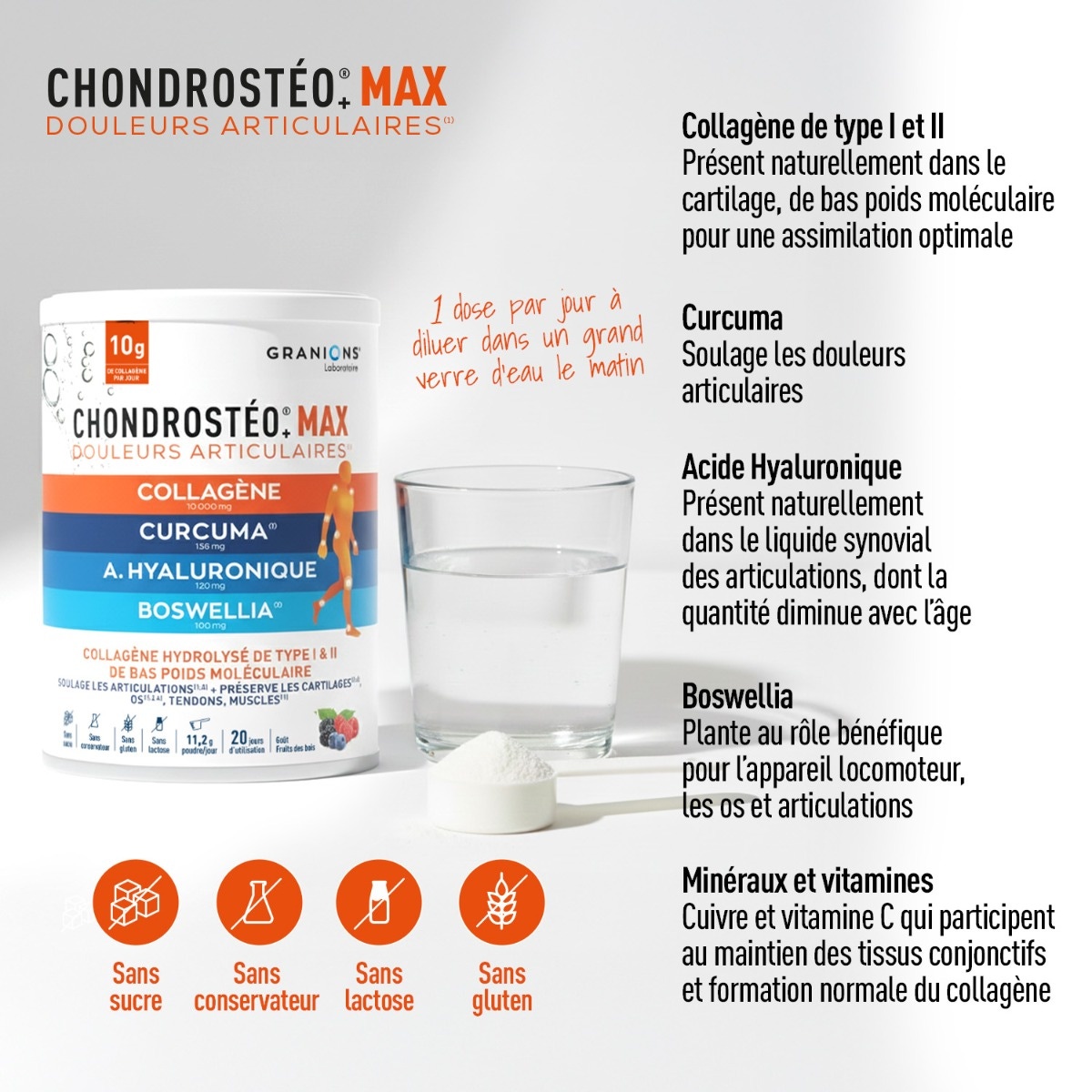 GRANIONS - Chondrostéo+ Max 