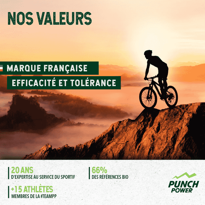 Punch Power Recup Max - Banane - 420G