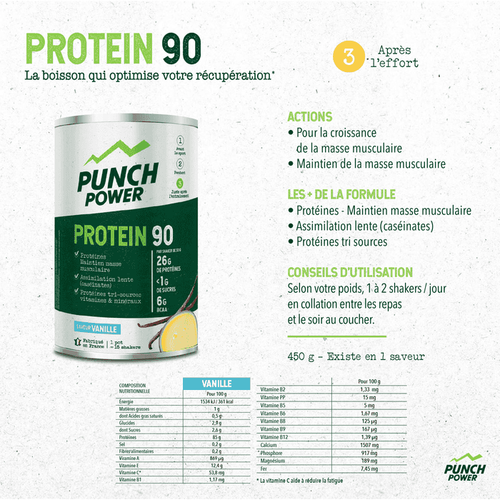 Punch Power Protein 90 - 450 g - Vanille