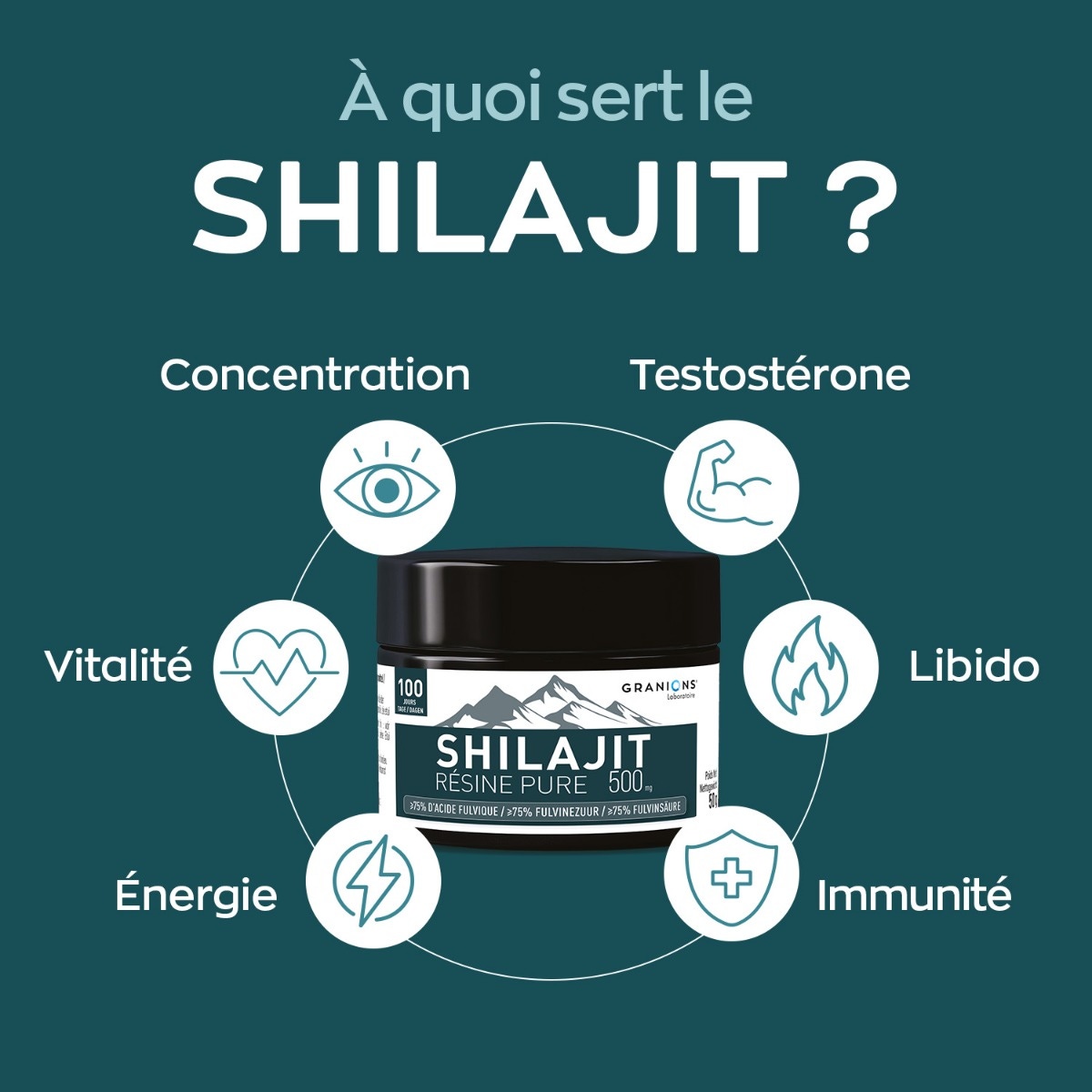 GRANIONS - A quoi sert le SHILAJIT ?