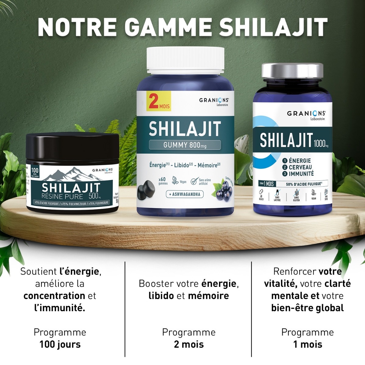 GRANIONS - Shilajit résine pure 500mg