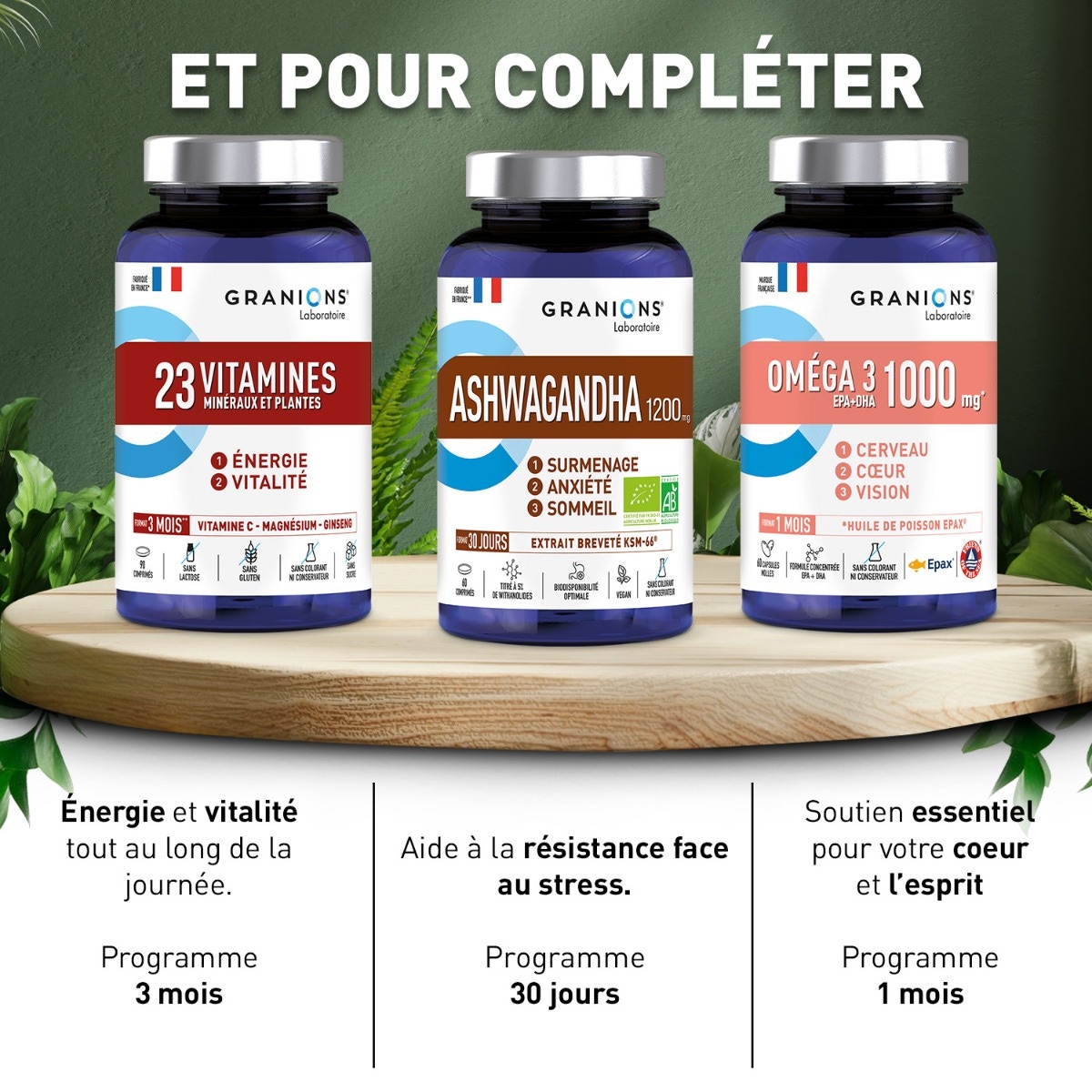 GRANIONS - Shilajit résine pure 500mg