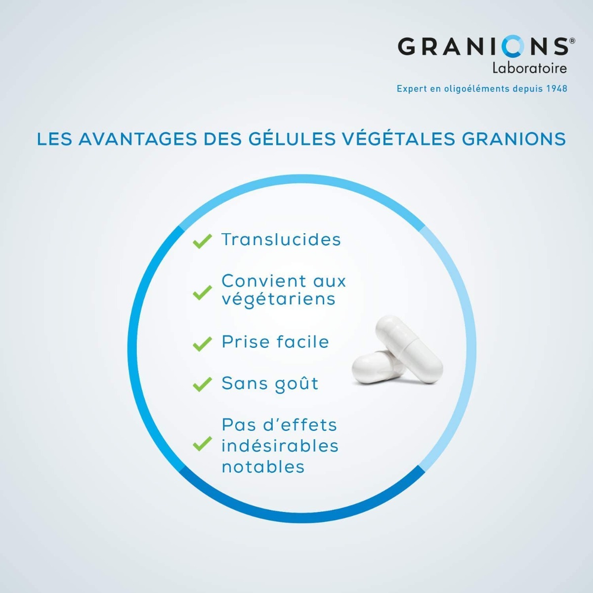 Lot de 2 – Zinc 60 gélules