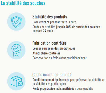 La stabilité des souches